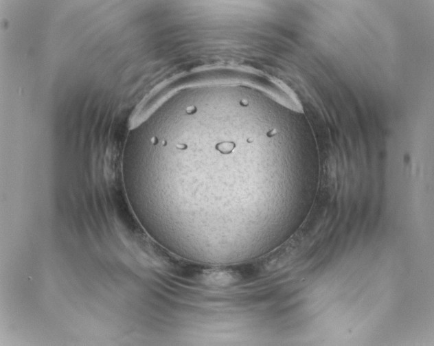 X0000088740218200706141711