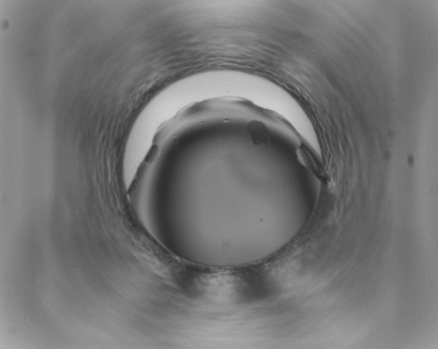 X0000088740219200706141711