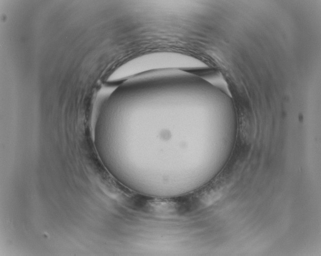 X0000088740221200706141711