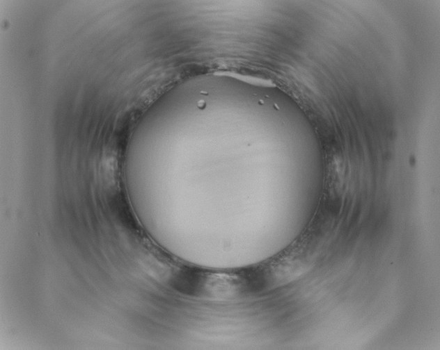 X0000088740222200706141711