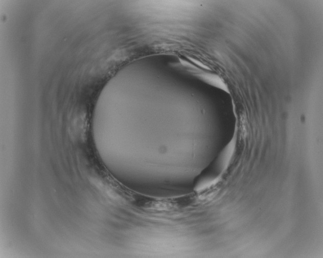 X0000088740223200706141711