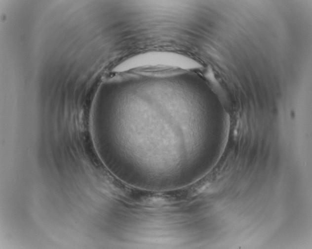 X0000088740224200706141711