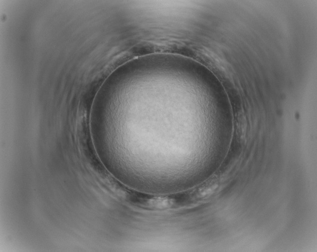 X0000088740225200706141711