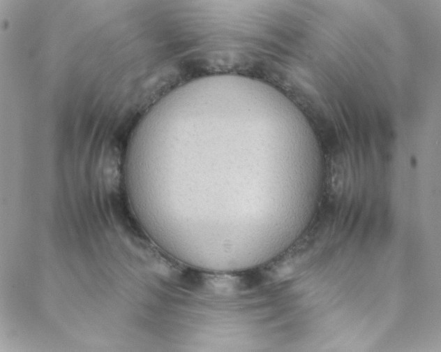 X0000088740226200706141711