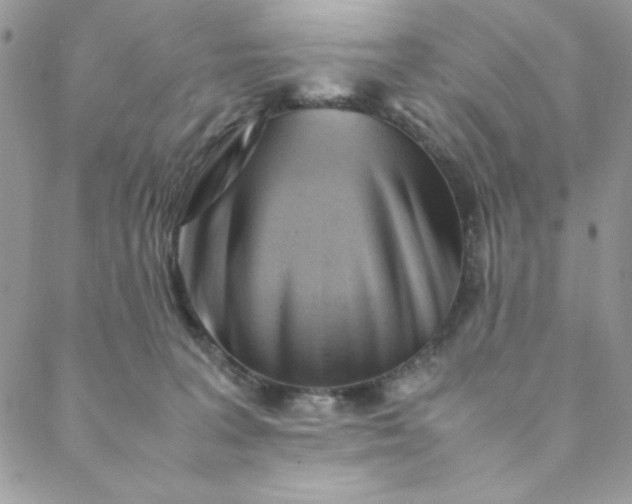 X0000088740227200706141711