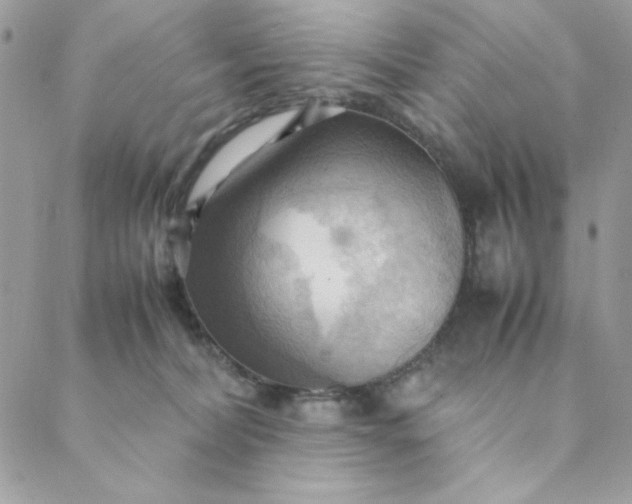 X0000088740228200706141711