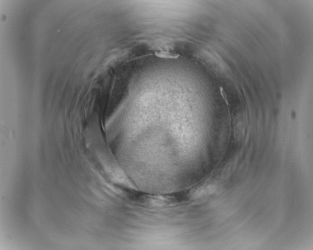 X0000088740229200706141711