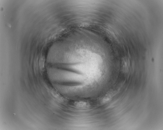 X0000088740230200706141711