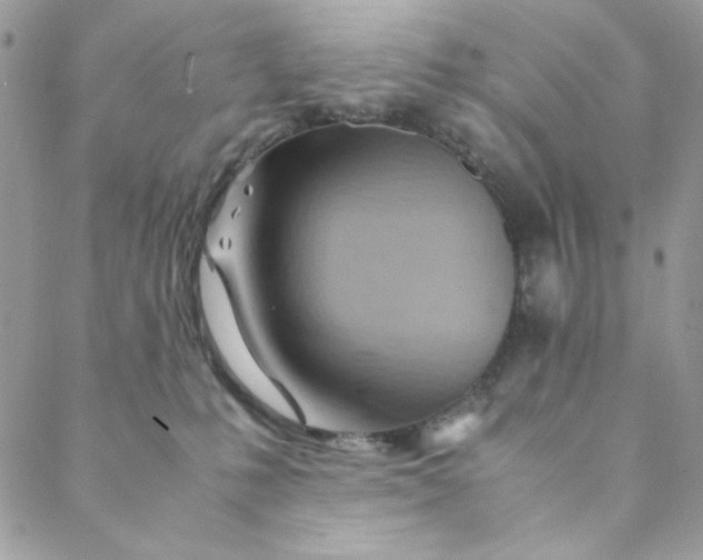 X0000088740231200706141711