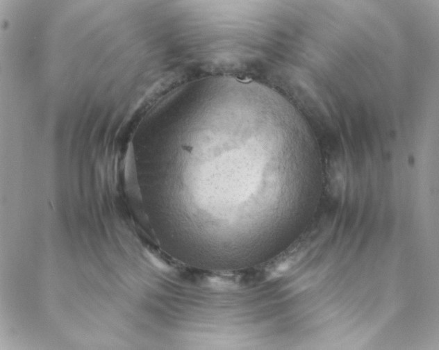 X0000088740232200706141711