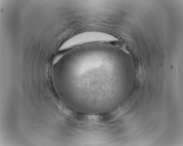 X0000088740233200706141711