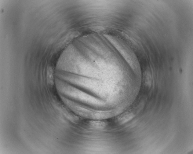 X0000088740234200706141711