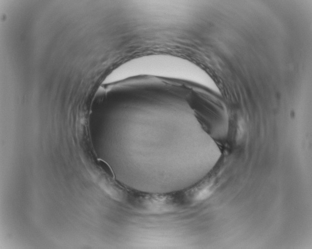 X0000088740235200706141711