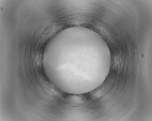 X0000088740236200706141711