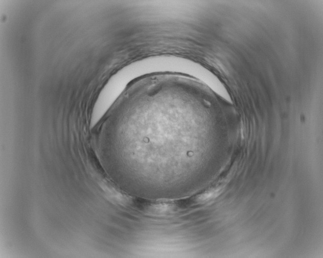 X0000088740237200706141711