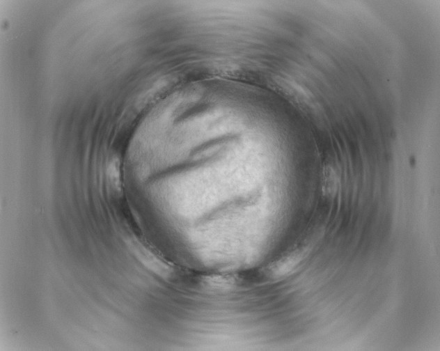 X0000088740238200706141711