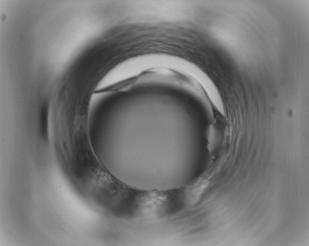 X0000088740239200706141711