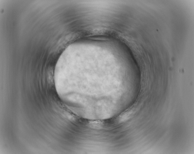 X0000088740240200706141711