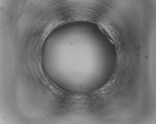 X0000088740241200706141710