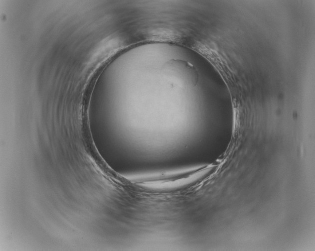 X0000088740243200706141710