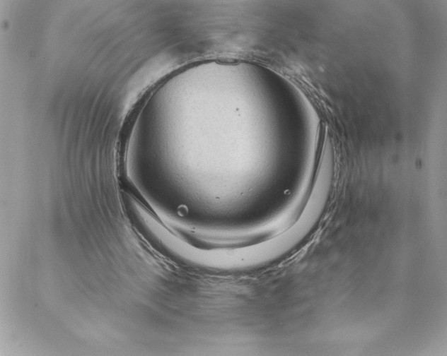 X0000088740244200706141710