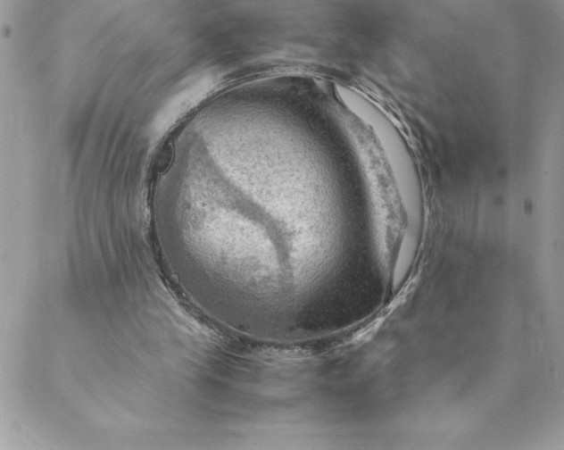 X0000088740245200706141710