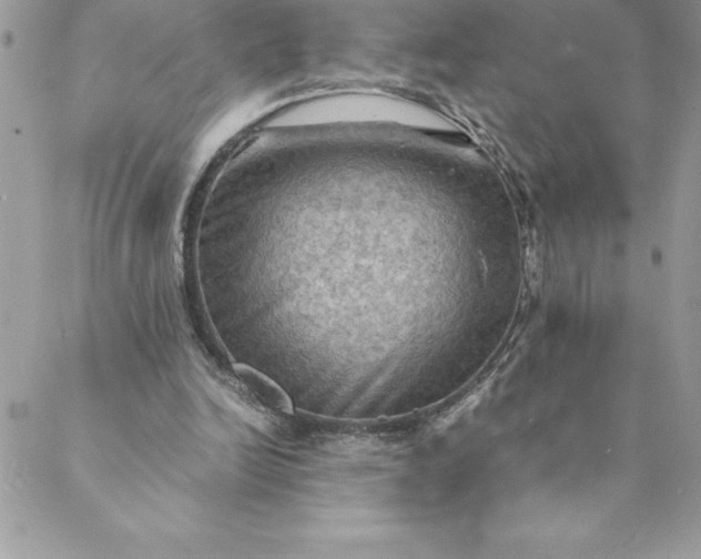 X0000088740246200706141710