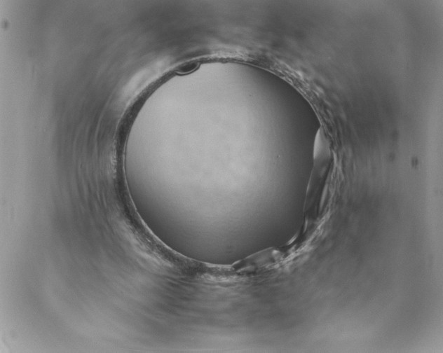 X0000088740247200706141710