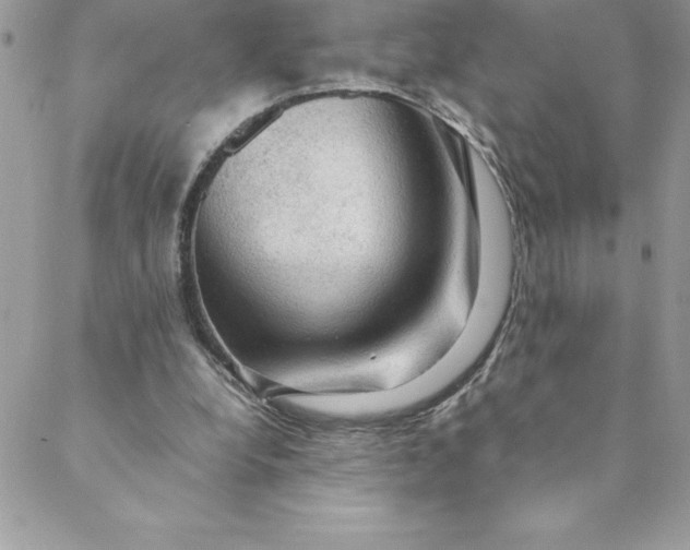 X0000088740248200706141710