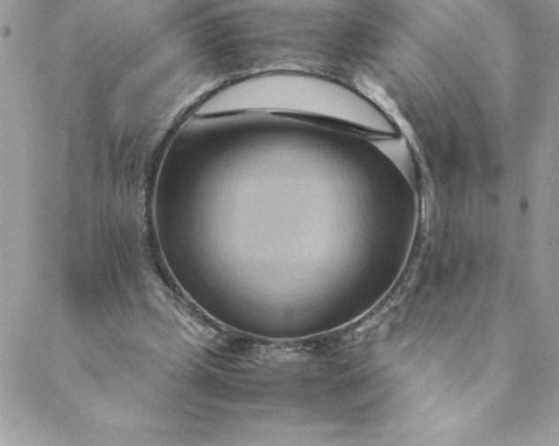 X0000088740249200706141710