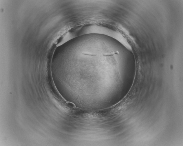 X0000088740250200706141710