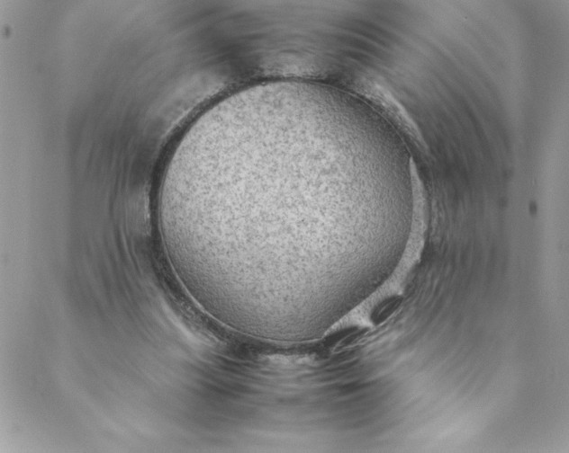 X0000088740251200706141710