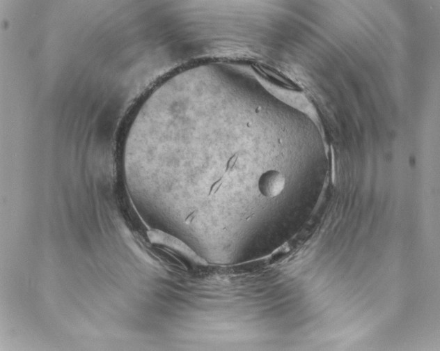 X0000088740252200706141710