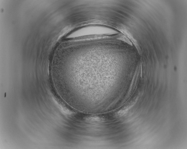 X0000088740253200706141710