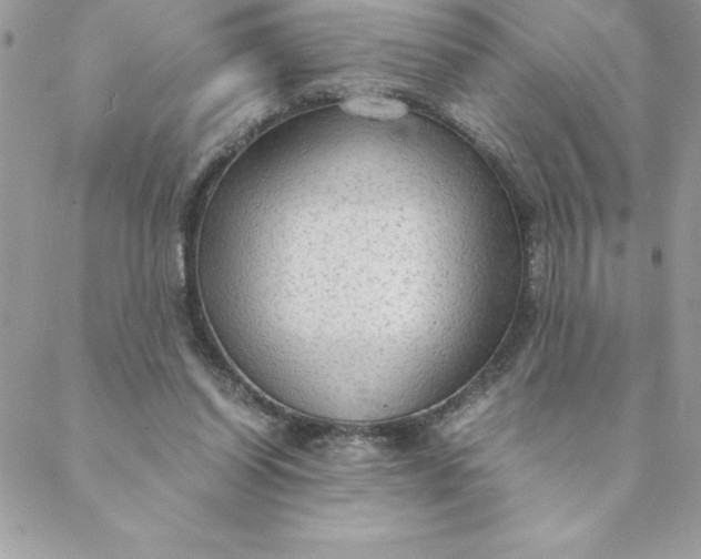 X0000088740254200706141710