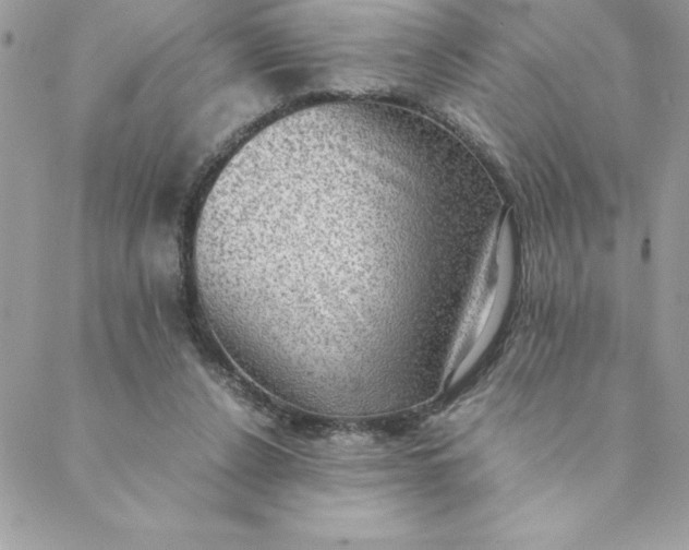 X0000088740256200706141710