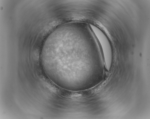 X0000088740257200706141710