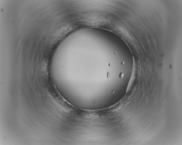 X0000088740258200706141710