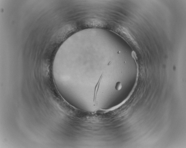 X0000088740259200706141710