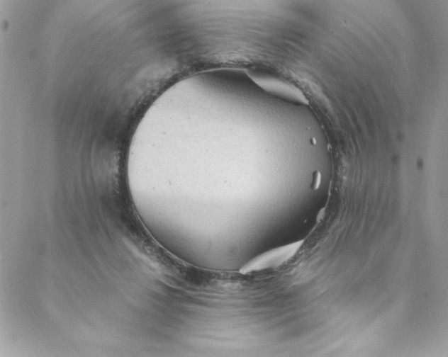 X0000088740260200706141710