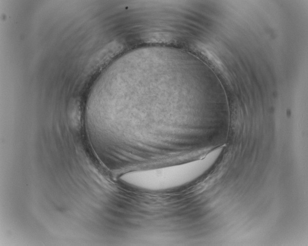 X0000088740261200706141710