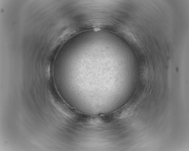 X0000088740262200706141710