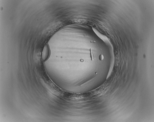 X0000088740263200706141710