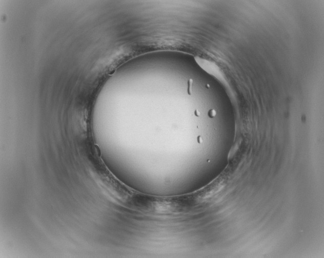 X0000088740264200706141710