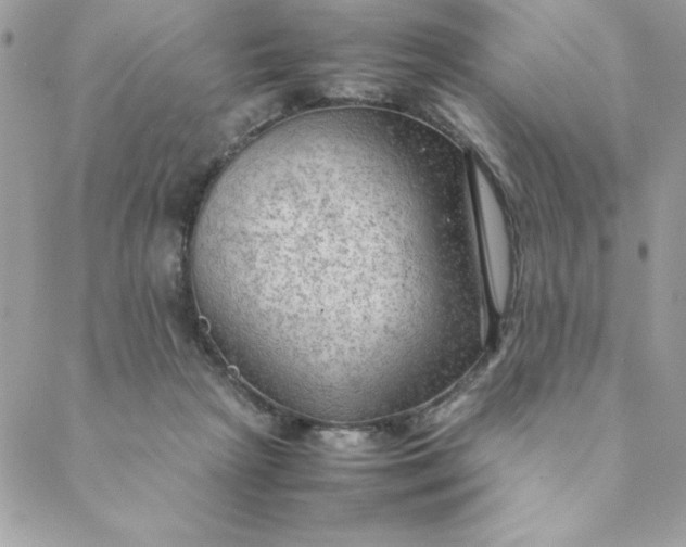 X0000088740265200706141710