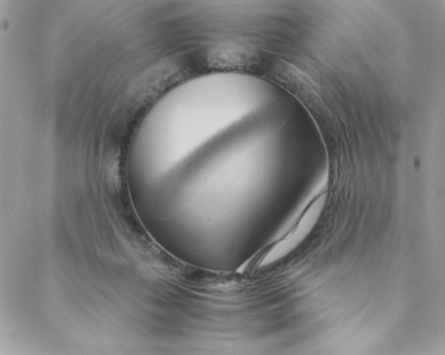 X0000088740267200706141710