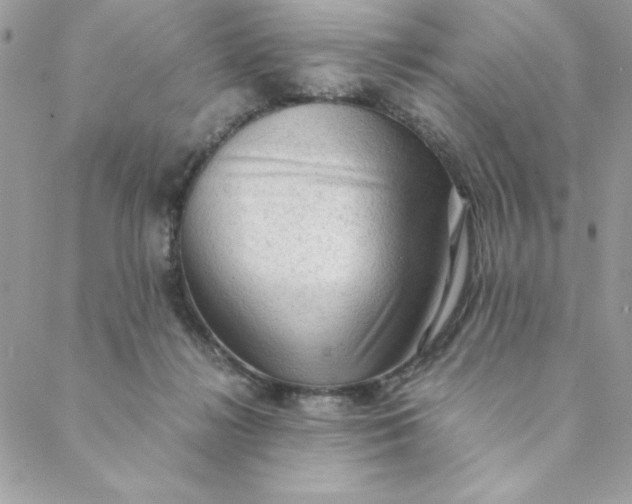 X0000088740268200706141710