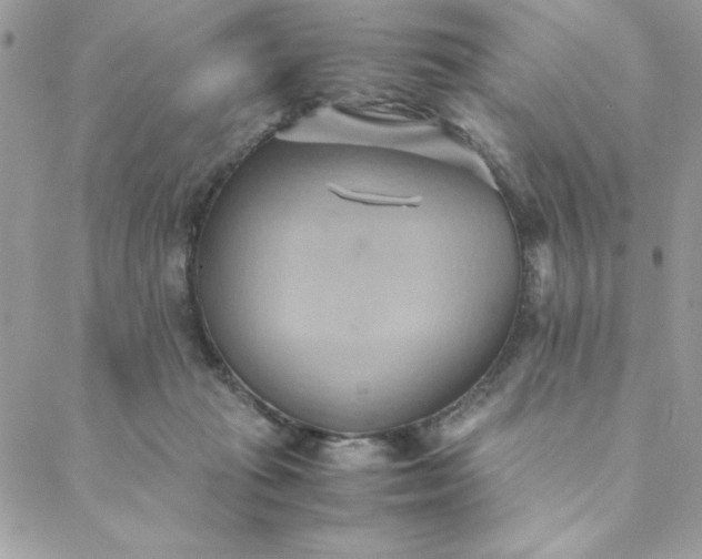 X0000088740269200706141710