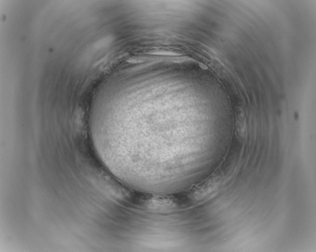 X0000088740270200706141710