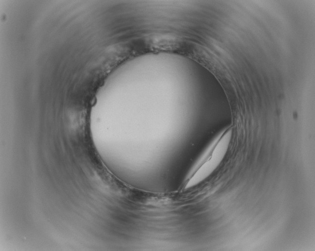 X0000088740271200706141710